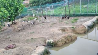 김민철 님의 장마 대비 어떻게 하셨나요? · 참여 작성글 사진