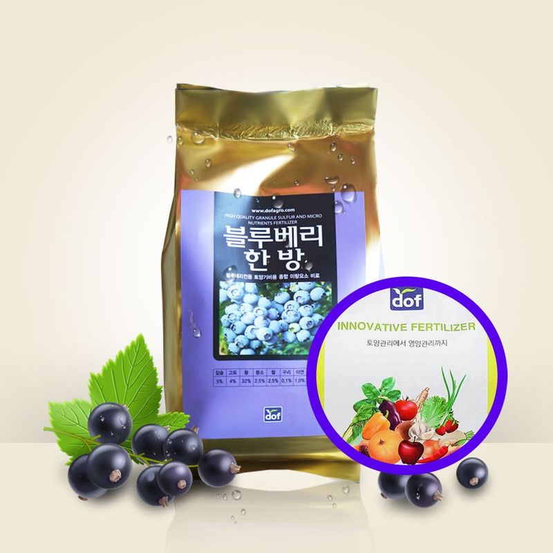 장터 상품 [도프 블루베리한방 2kg 블루베리영양제] 썸네일