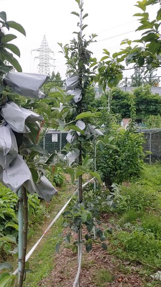 박상현님의 장마 대비 어떻게 하셨나요? · 참여 작성글 사진