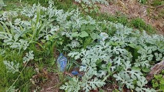 박상현님의 장마 대비 어떻게 하셨나요? · 참여 작성글 사진