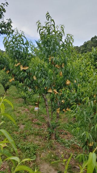 박상현님의 장마 대비 어떻게 하셨나요? · 참여 작성글 사진