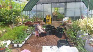 산딸기님의 블루베리 · 자유게시판 작성글 사진