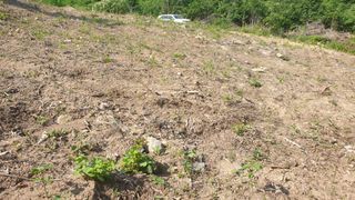 이태건님의 기타작물 · 영농일지 작성글 사진