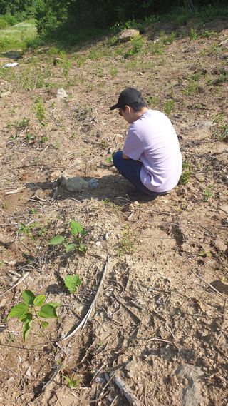 이태건님의 기타작물 · 영농일지 작성글 사진