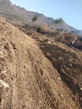 팜모닝 기타작물·영농일지 게시글 이미지