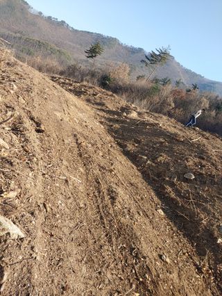 이태건님의 기타작물 · 영농일지 작성글 사진