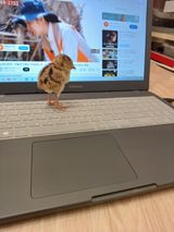 팜모닝 자유주제·자유게시판 게시글 이미지