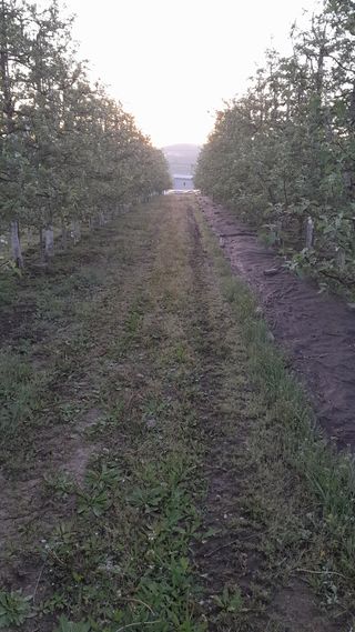 이윤동님의 장마 대비 어떻게 하셨나요? · 참여 작성글 사진