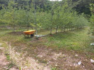 이성수님의 사과 · 일상 작성글 사진