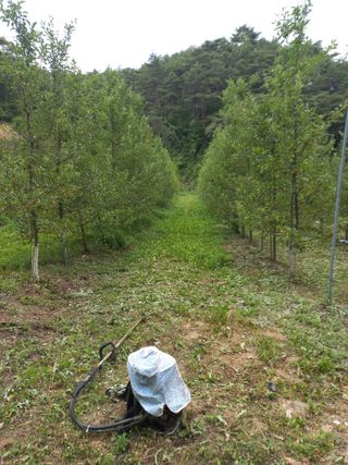 이성수님의 사과 · 일상 작성글 사진