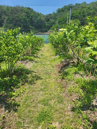 최환식 님의 장마 대비 어떻게 하셨나요? · 참여 작성글 사진