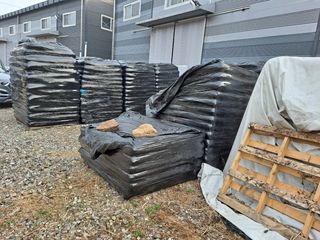 광주당근님의 고추 · 병해충상담 작성글 사진