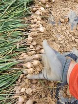 팜모닝 · 게시글 이미지