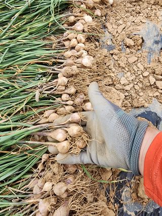 김성원님의 작성글 사진
