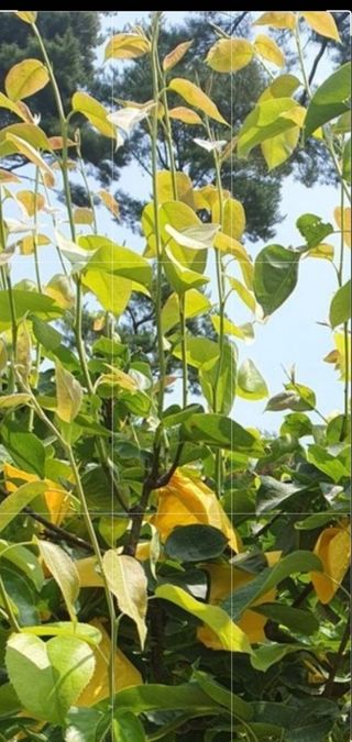 인생은 소풍처럼님의 배 · 일상 작성글 사진