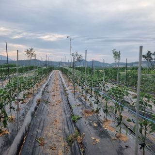 이종권님의 장마 대비 어떻게 하셨나요? · 참여 작성글 사진
