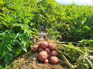 호영님의 작성글 사진