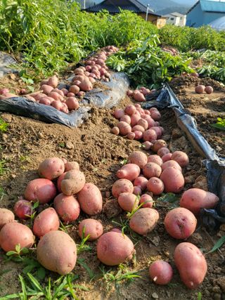 호영님의 작성글 사진