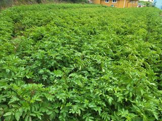 호영님의 작성글 사진