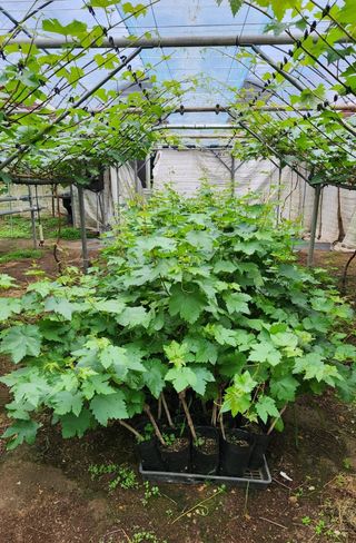 신지님의 작성글 사진