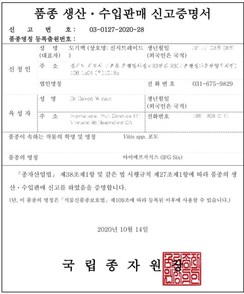 신지님의 장터 판매 상품 [블랙사파이어포도묘목50주] 첨부 사진