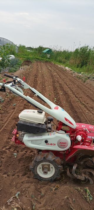 박상득님의 상추 · 영농일지 작성글 사진