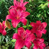 팜모닝 자유주제·자유게시판 게시글 이미지