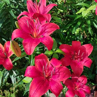 박수연님의 자유주제 · 자유게시판 작성글 사진