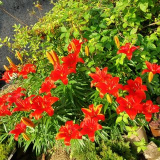 박수연님의 자유주제 · 자유게시판 작성글 사진