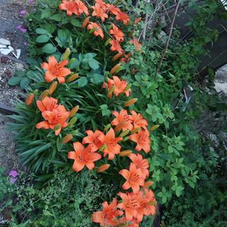 박수연님의 자유주제 · 자유게시판 작성글 사진