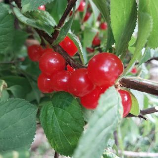 박수연님의 자유주제 · 자유게시판 작성글 사진