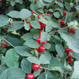 박수연님의 자유주제 · 자유게시판 작성글 사진