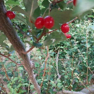 박수연님의 자유주제 · 자유게시판 작성글 사진