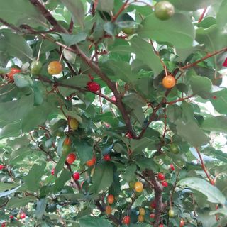 박수연님의 자유주제 · 자유게시판 작성글 사진