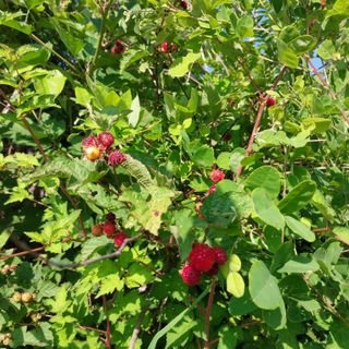 박수연님의 자유주제 · 자유게시판 작성글 사진