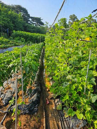 알 수 없음님의 자유주제 · 자유게시판 작성글 사진