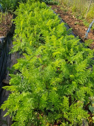 알 수 없음님의 자유주제 · 자유게시판 작성글 사진