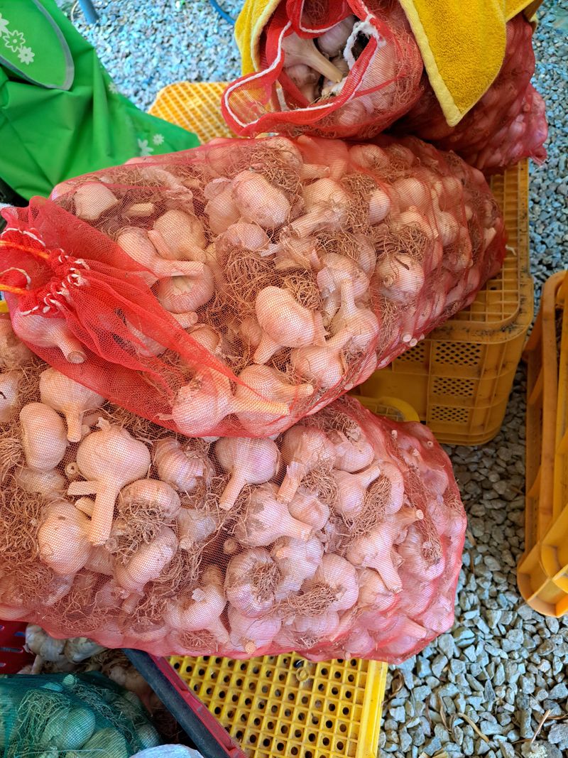 장터 상품 [홍산마늘 4kg] 썸네일