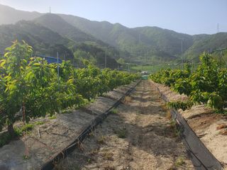 윤현식 님의 장마 대비 어떻게 하셨나요? · 참여 작성글 사진