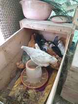 팜모닝 자유주제·자유게시판 게시글 이미지