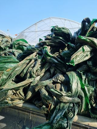 김지연님의 토마토 · 일상 작성글 사진