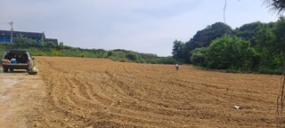 고추모종님의 장마 대비 어떻게 하셨나요? · 참여 작성글 사진