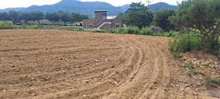 고추모종님의 장마 대비 어떻게 하셨나요? · 참여 작성글 사진