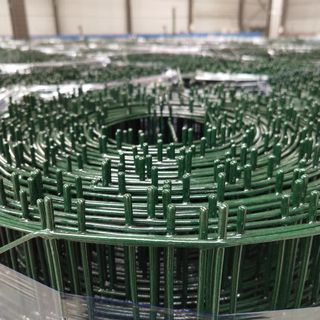 봉주르님의 작성글 사진