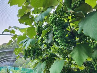 하동지킴이님의 자유주제 · 자유게시판 작성글 사진