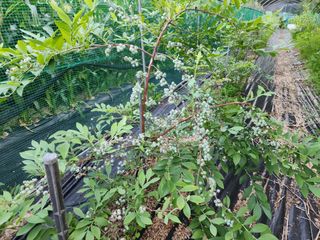 하동지킴이님의 자유주제 · 자유게시판 작성글 사진