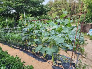 하동지킴이님의 자유주제 · 자유게시판 작성글 사진