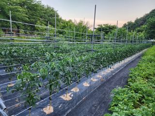 하동지킴이님의 자유주제 · 자유게시판 작성글 사진