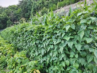 하동지킴이님의 자유주제 · 자유게시판 작성글 사진