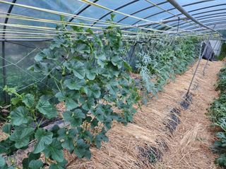 하동지킴이님의 자유주제 · 자유게시판 작성글 사진